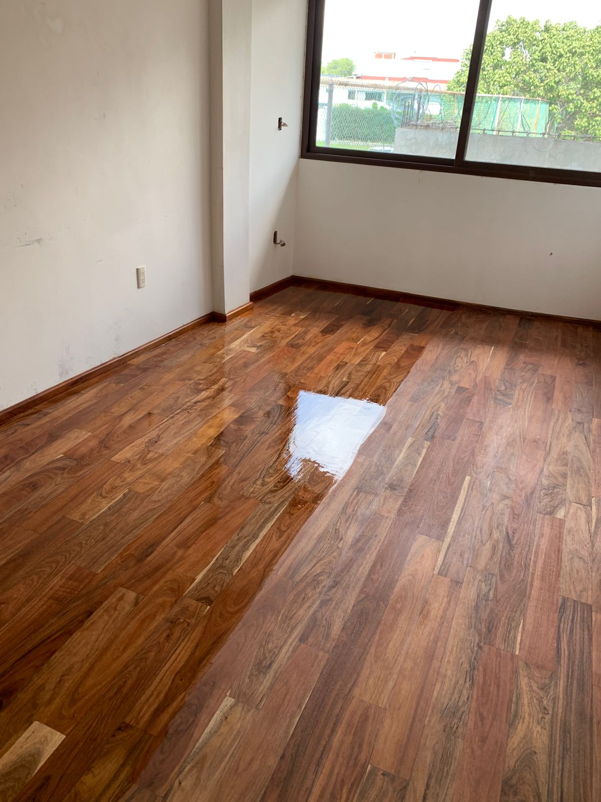 Imagen de madera sólida 6